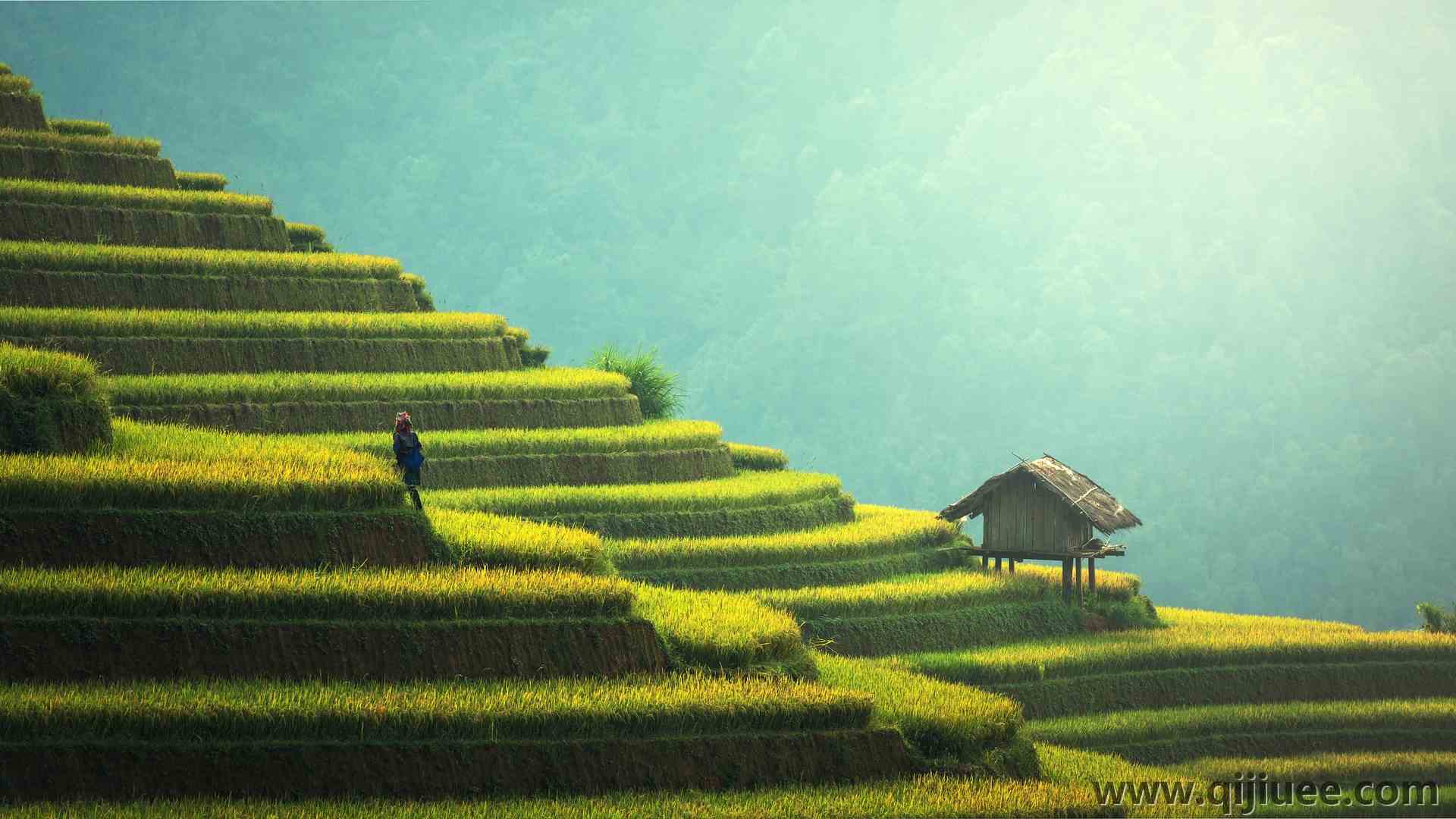 农民 自然 风景 稻田 绿色 清新 治愈 电脑壁纸 4K壁纸7360 x 3949/2.84 MB-柒染云阁