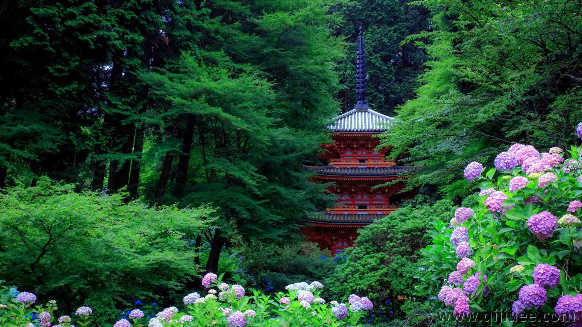 亚洲建筑 树木 森林 植物 花 叶 绣球 4K壁纸3840 x 2423/3.39 MB-柒染云阁