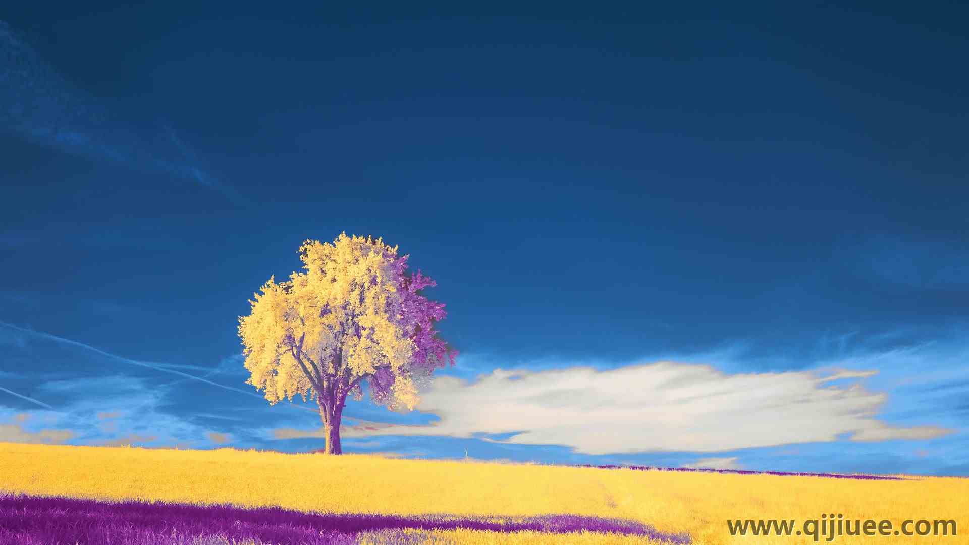 自然 风景 绘画 云 天空 树木  电脑壁纸 4K壁纸6000 x 4000/2.6 MB-柒染云阁
