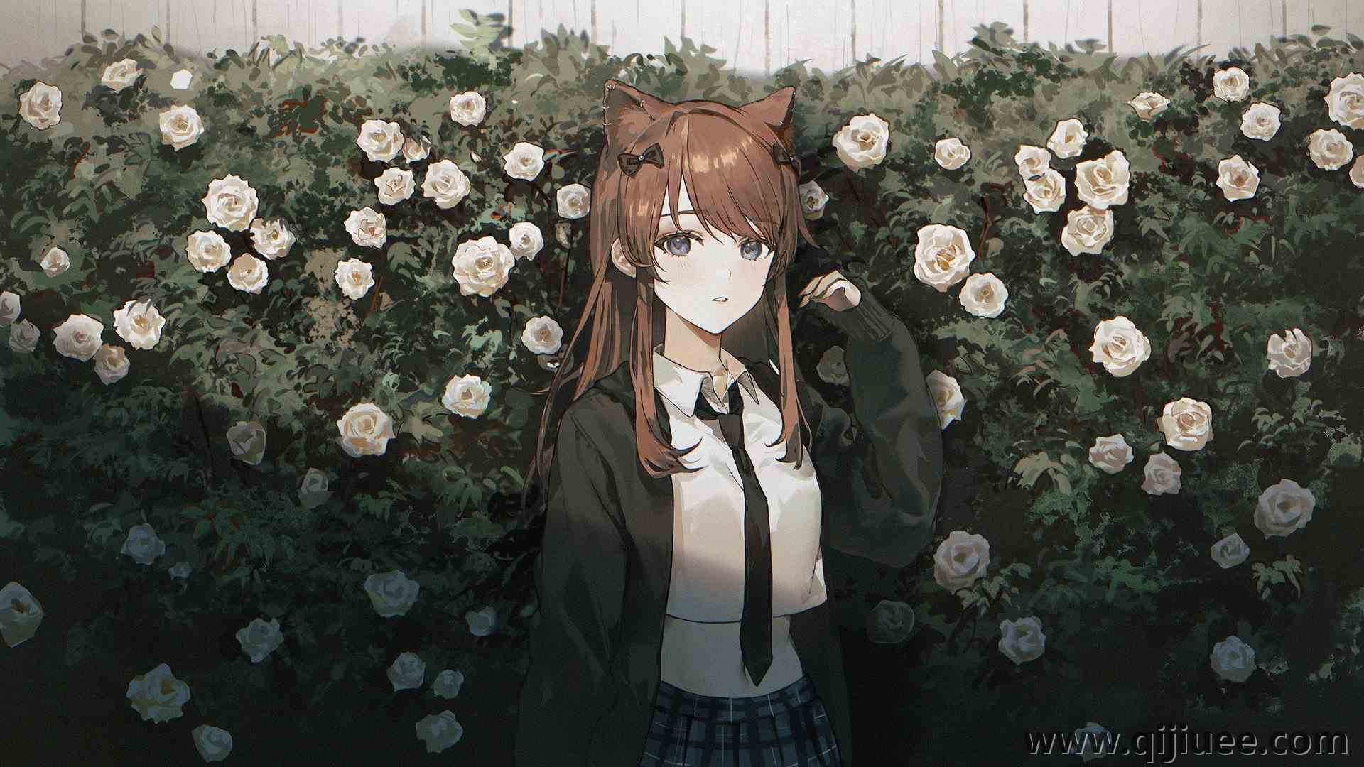 猫女孩  白玫瑰 大自然 卡哇伊 裙子 鲜花 3840 x 2160/2.09 MB-柒染云阁