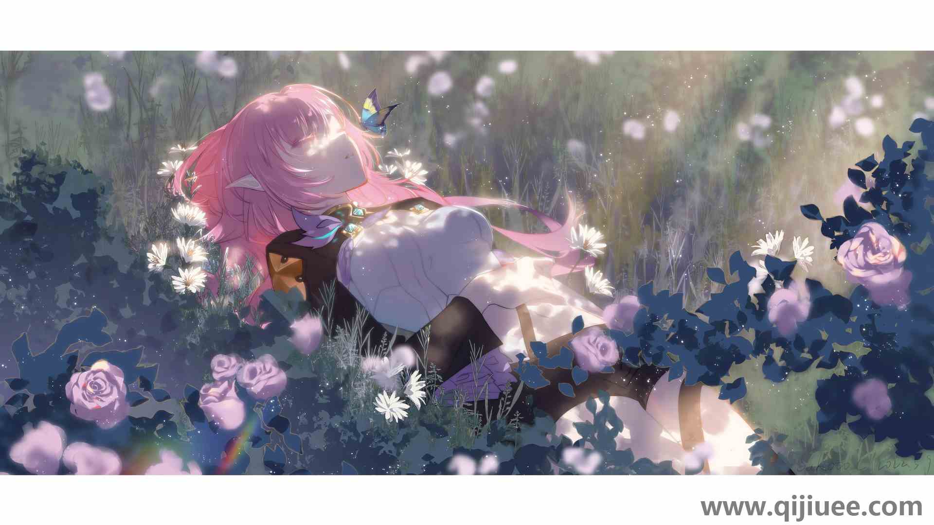 鲜花 树叶 阳光 蝴蝶 昆虫 本海冲击3840 x 2160/1.33 MB-柒染云阁