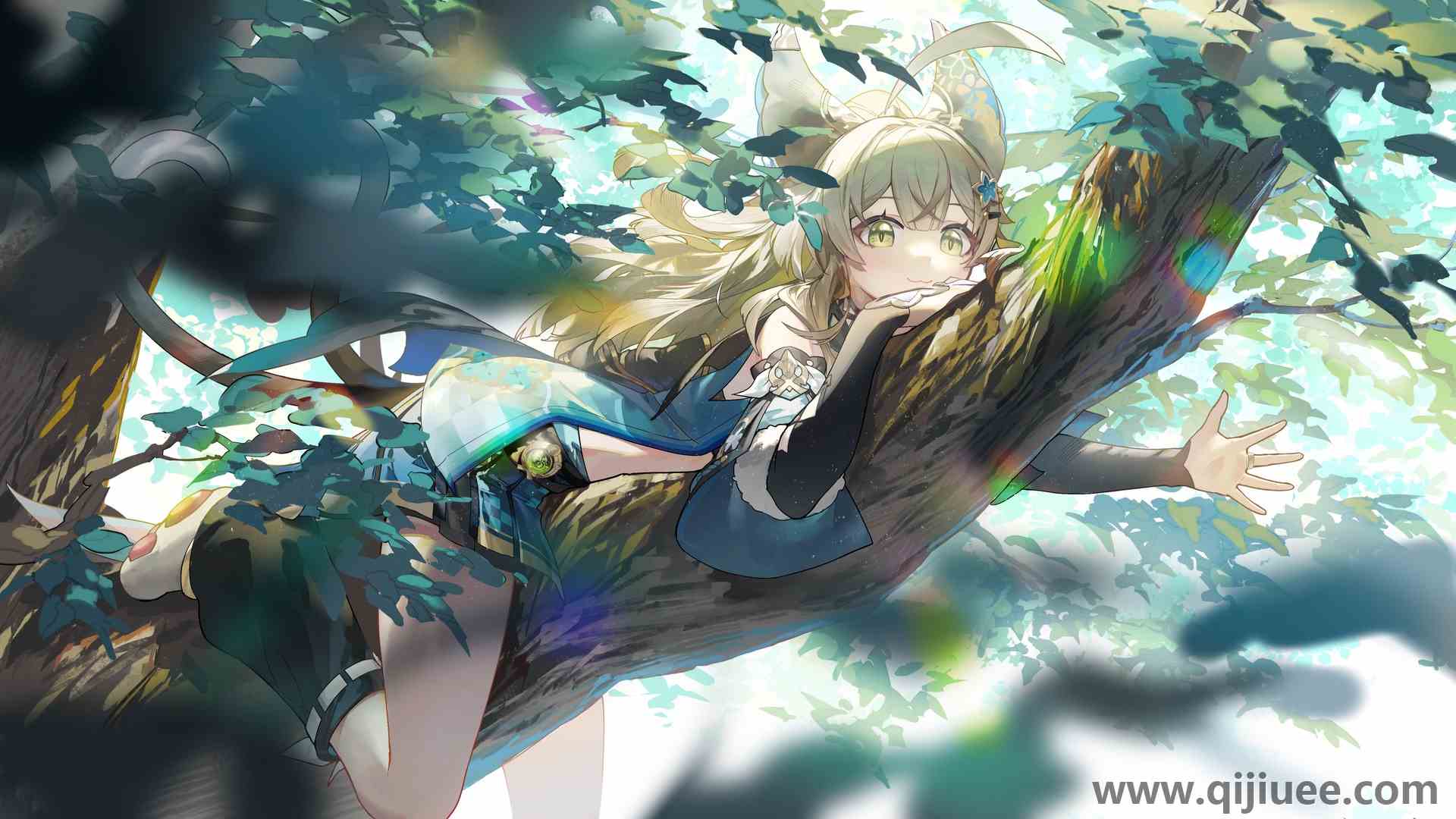 猫咪女孩 长发 躺在前面 微笑 原神  树阳光 猫尾  电脑壁纸 4K壁纸4800 x 2700/2.19 MB-柒染云阁