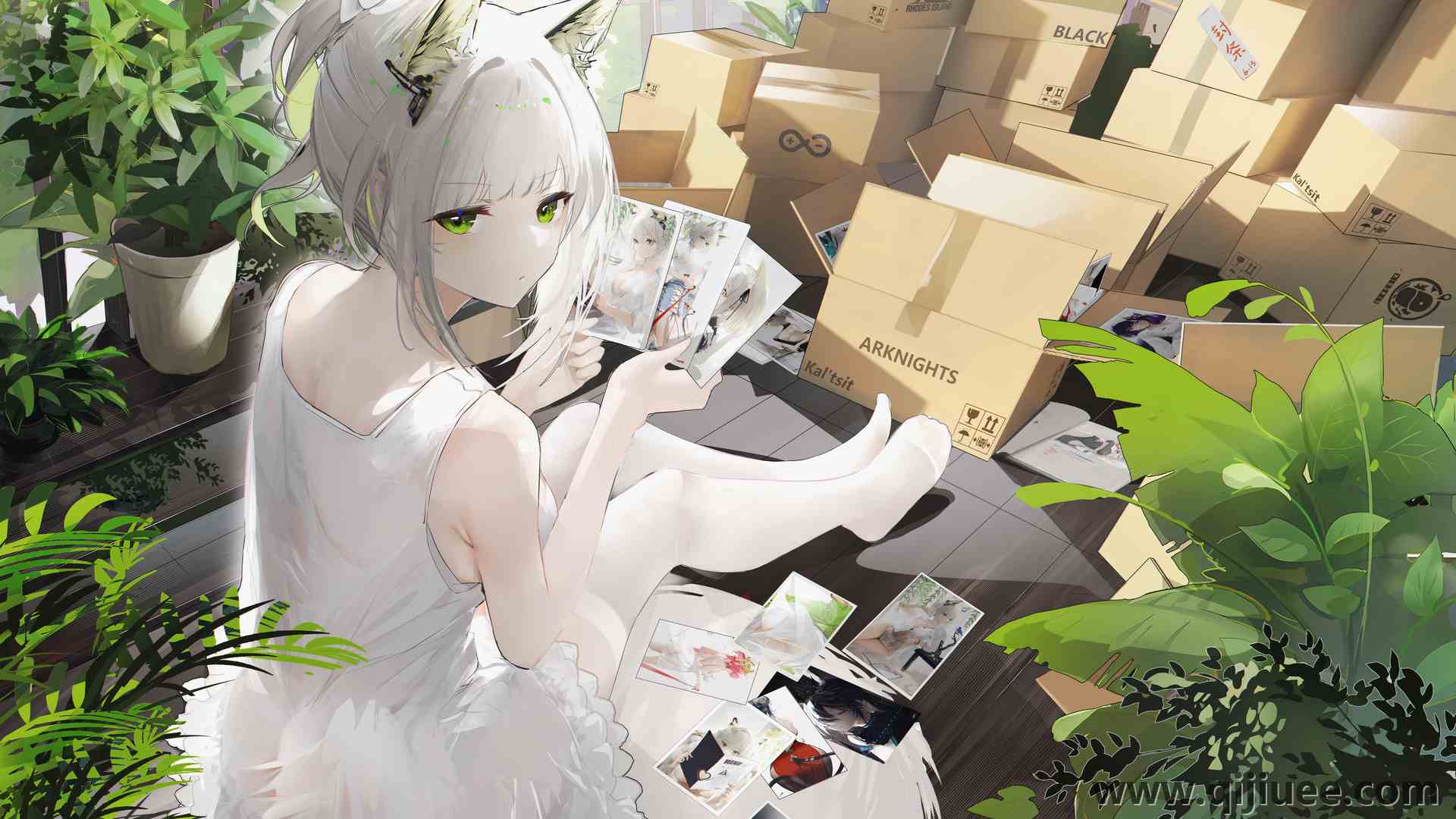 绿眼睛 白发 猫咪女孩 动漫 动漫女孩 猫耳 植物 卡西 电脑壁纸 4K壁纸4400 x 3198/12.37 MB-柒染云阁
