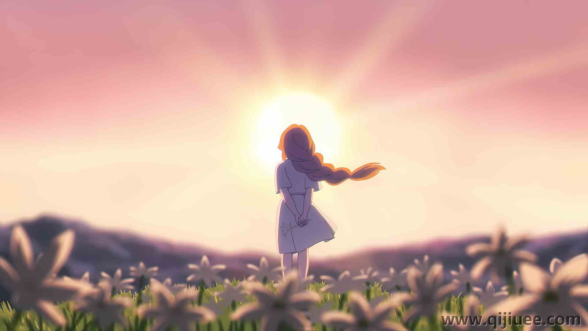 太阳 草地 微风 电脑壁纸 4K壁纸3840 x 2160/5.09 MB-柒染云阁
