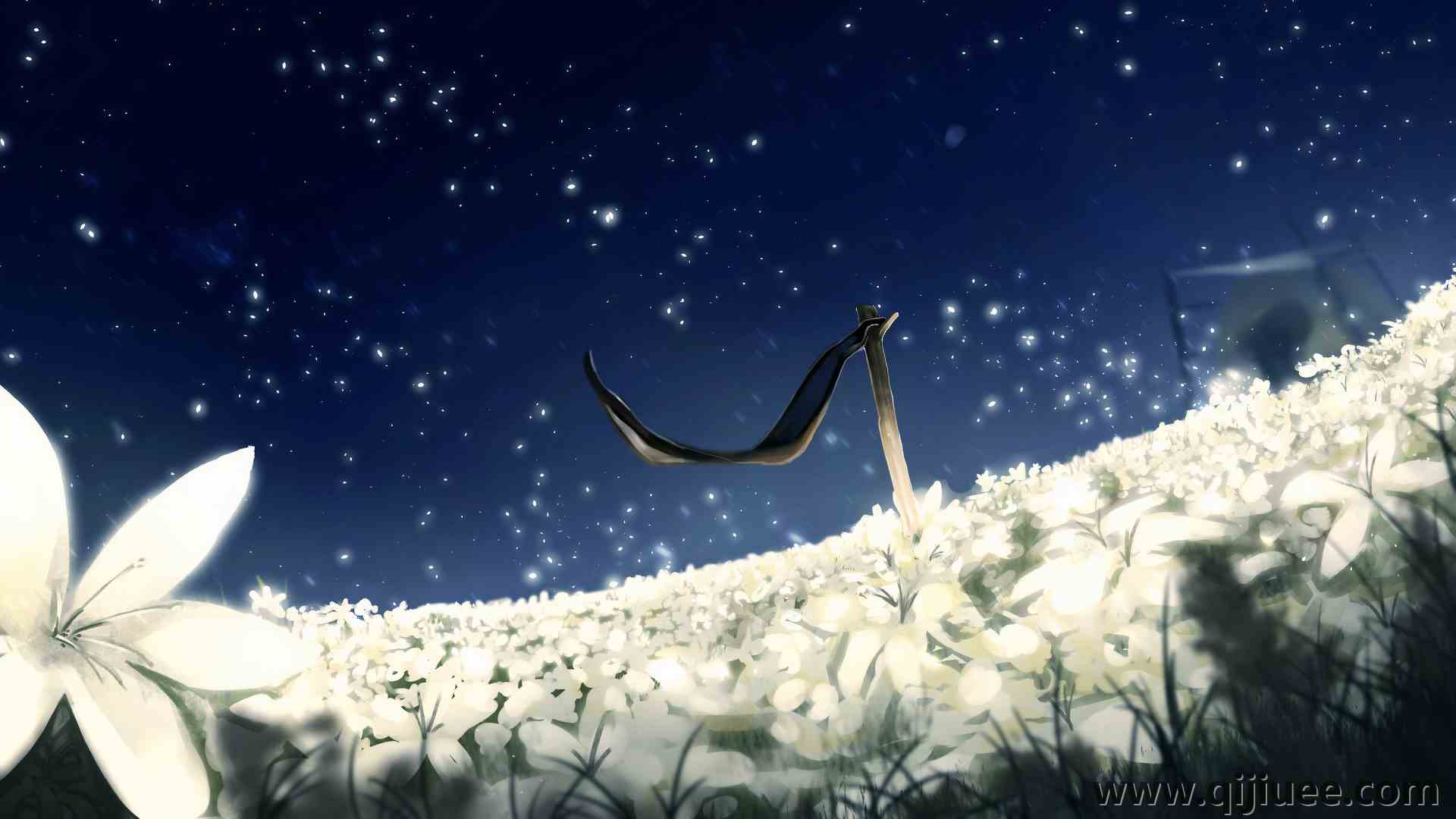 自动机 月亮花 数字艺术 艺术品 尼尔  电脑壁纸 4K壁纸3840 x 2160/13.48 MB-柒染云阁