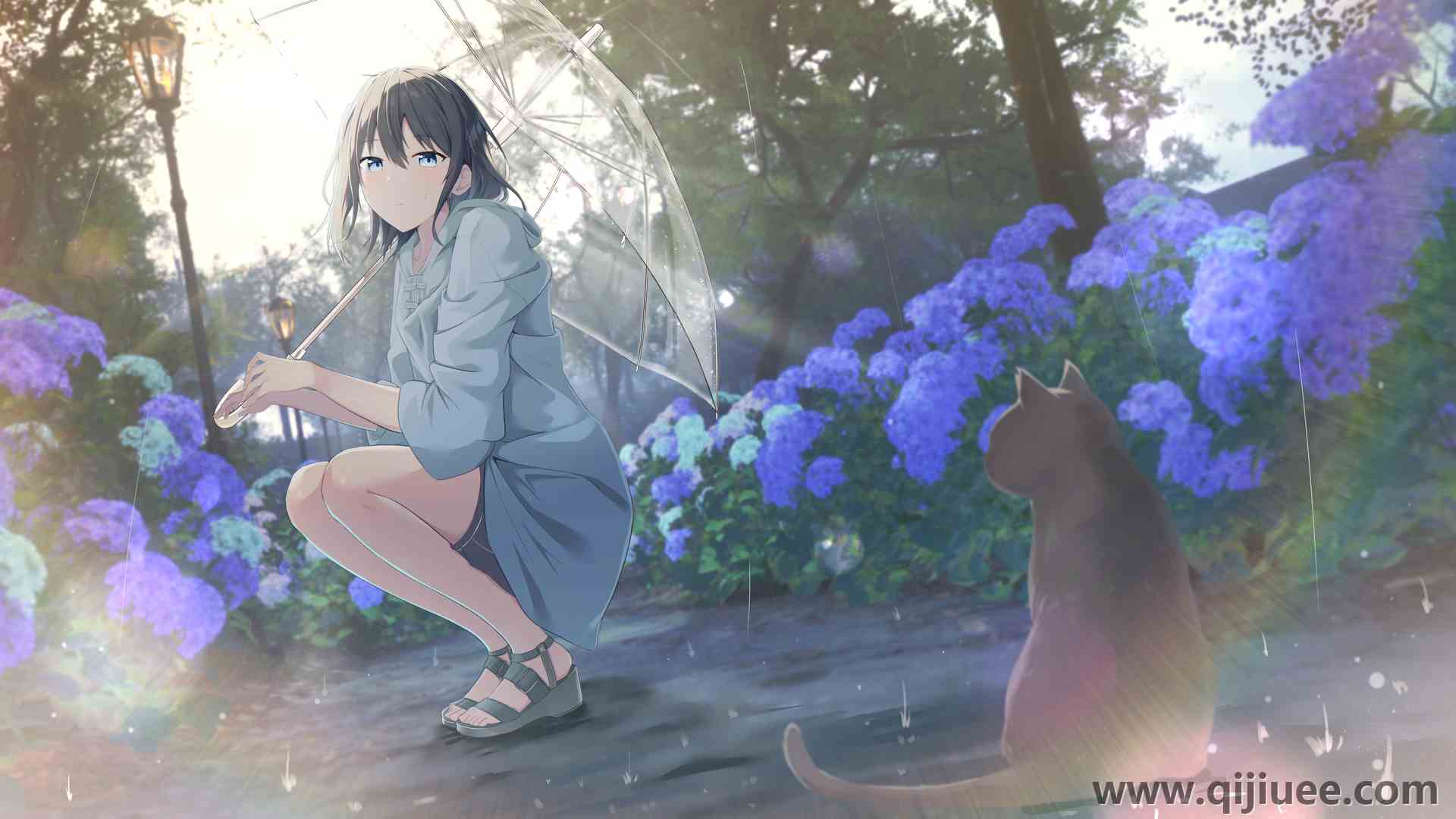 头发 蓝色 眼睛 动漫 女孩 雨 动物 蓝色 花 户外 猫   电脑壁纸 4K壁纸4374 x 2454/7.47 MB-柒染云阁