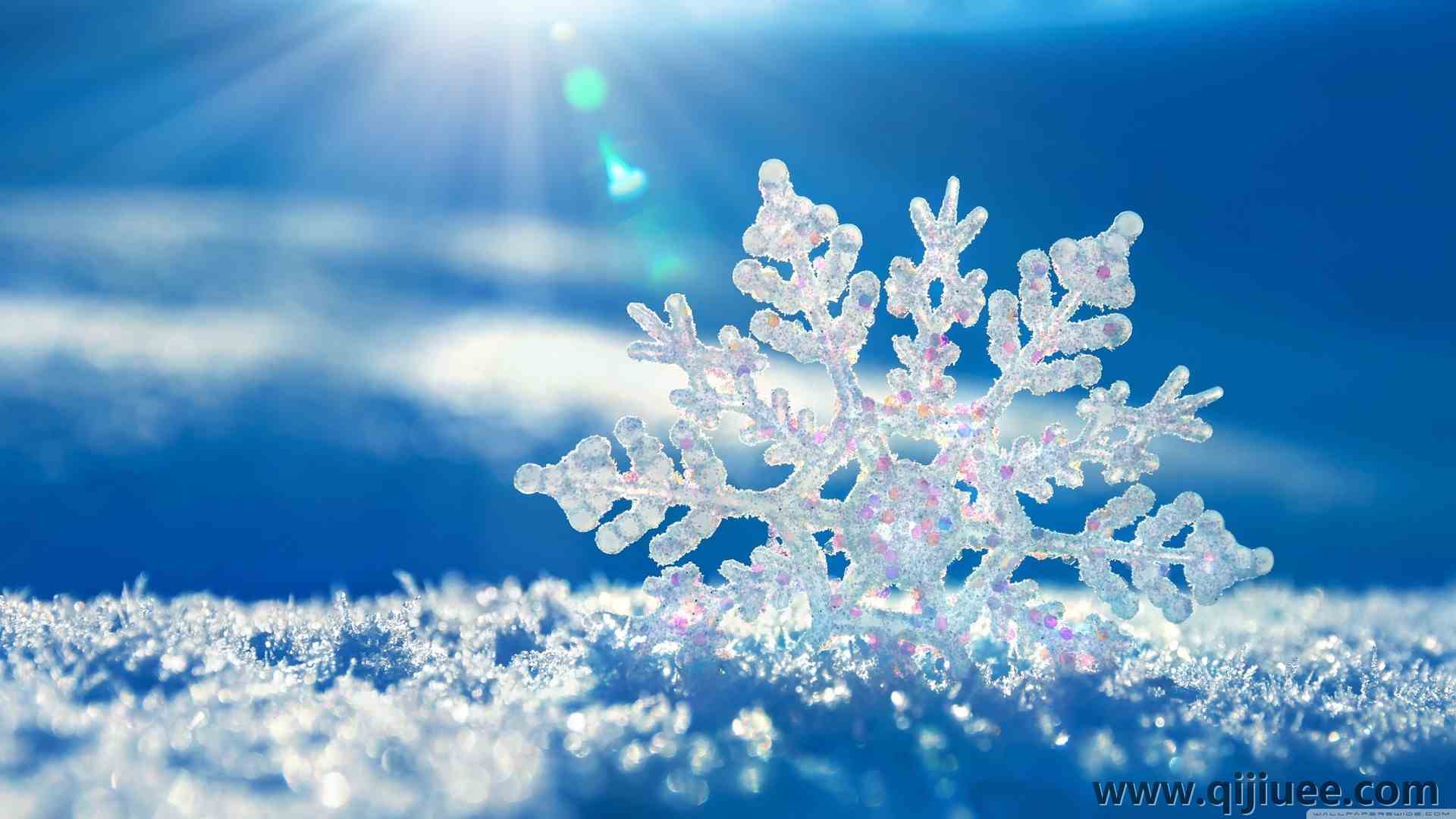 雪花 冬季 微距 雪 蓝色背景 霜冻 寒冷 冰 阳光 冰晶  电脑壁纸 4K壁纸3840 x 2160/1.21 MB-柒染云阁
