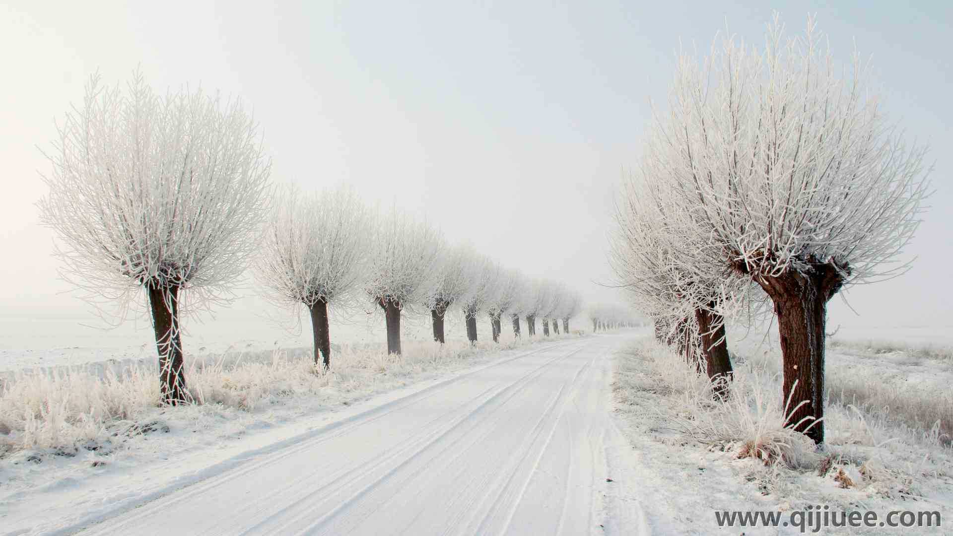 冬天 下雪 寒冷 雪花 下雪 自然 道路 树木  电脑壁纸 4K壁纸5016 x 3344/8.6 MB-柒染云阁