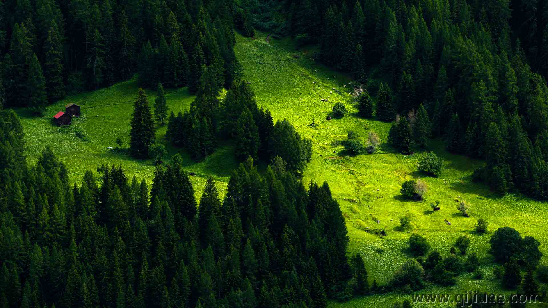 自然 风景 树木 松树 小山 森林 小屋 草 绿色 护眼 电脑壁纸 4K壁纸4350 x 2500/5.8 MB-柒染云阁