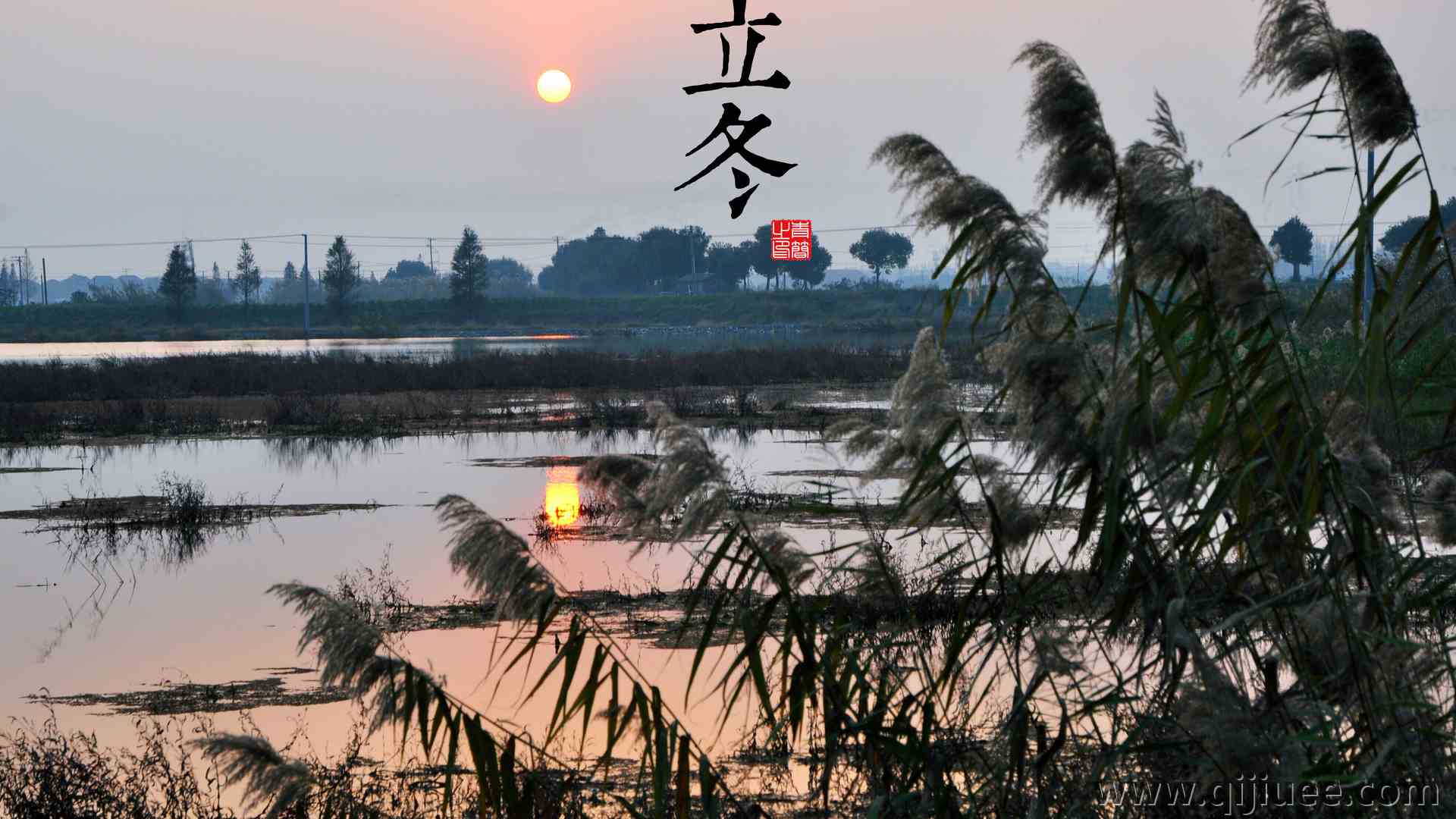自然 风景 太阳 寒冷 立冬 湖 湖水 芦苇 电脑壁纸 4K壁纸3948 x 2621/6.01 MB-柒染云阁