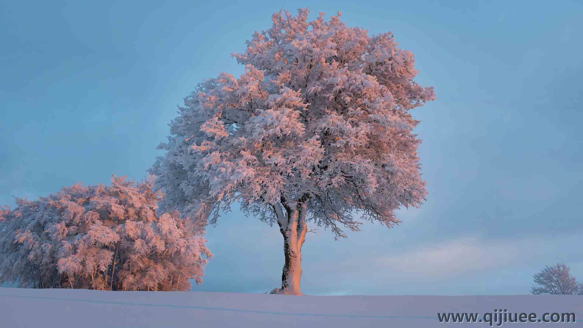 白色 粉色 树木 雪 晴朗 天空 云 自然 明亮  电脑壁纸 4K壁纸3840 x 2560/11.96 MB-柒染云阁