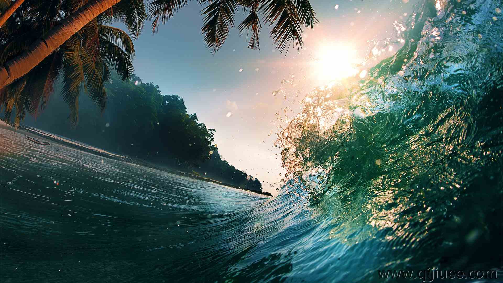 海浪 棕榈树 水 自然 阳光  4K壁纸5000 x 3105/2.15 MB-柒染云阁
