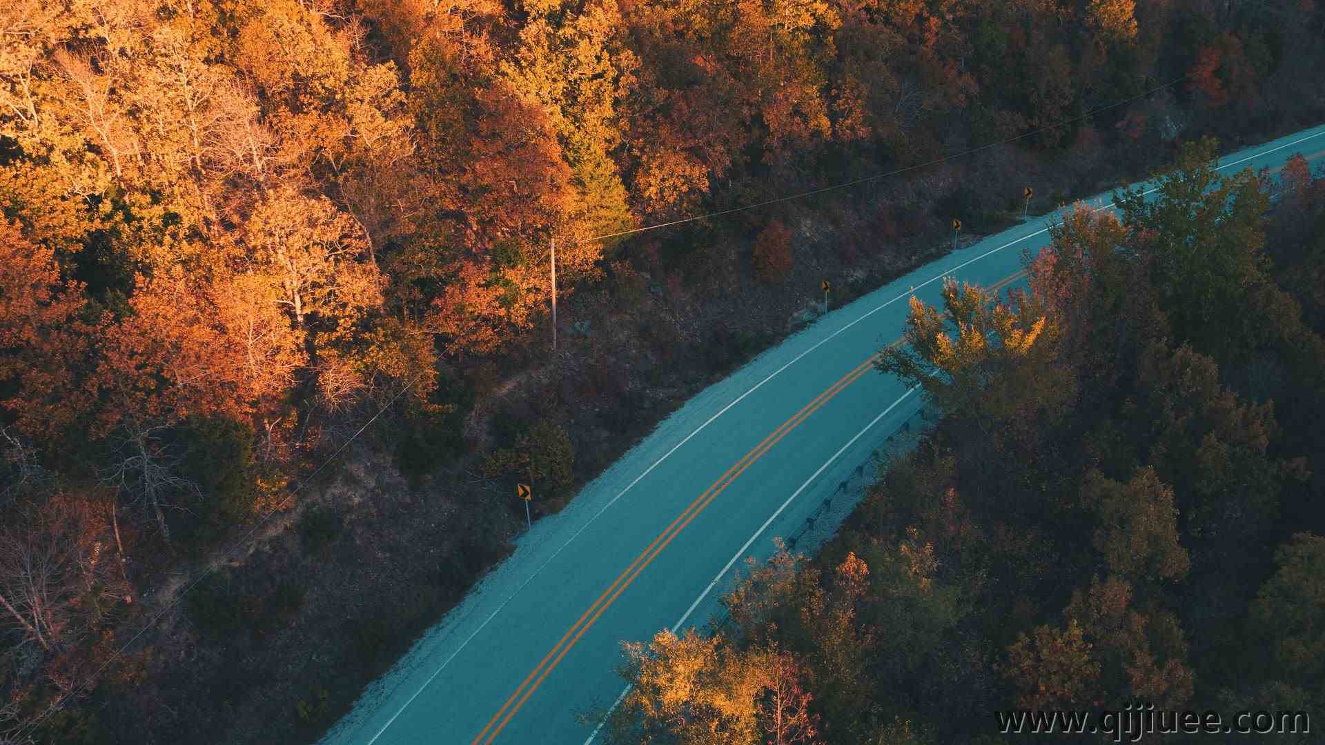 道路 森林 树木 秋天 自然  4K壁纸4608 x 3456/4.77 MB-柒染云阁