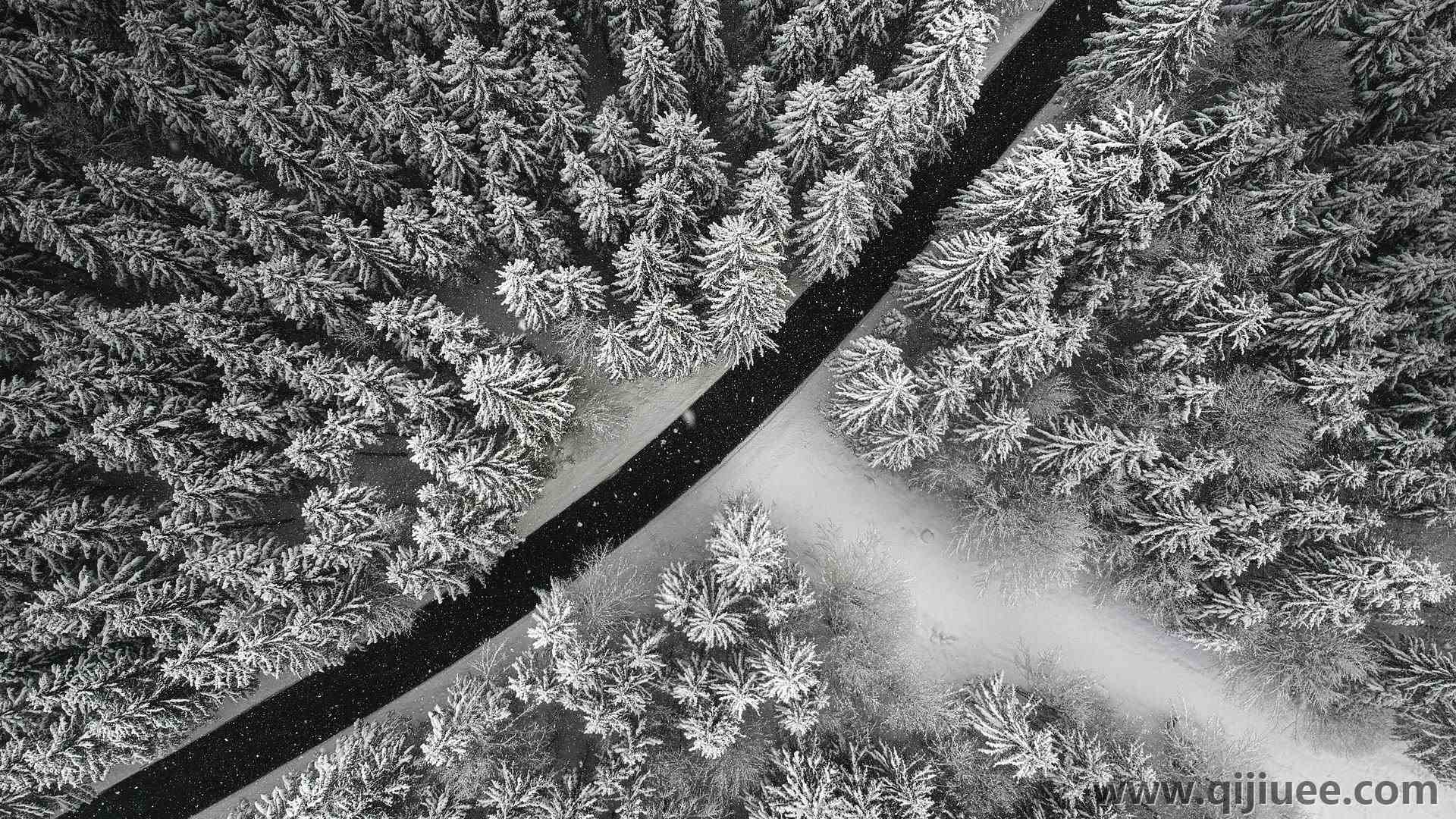 自然 摄影 风景 森林 道路 雪 树  4K壁纸3968 x 2976/4.65 MB-柒染云阁