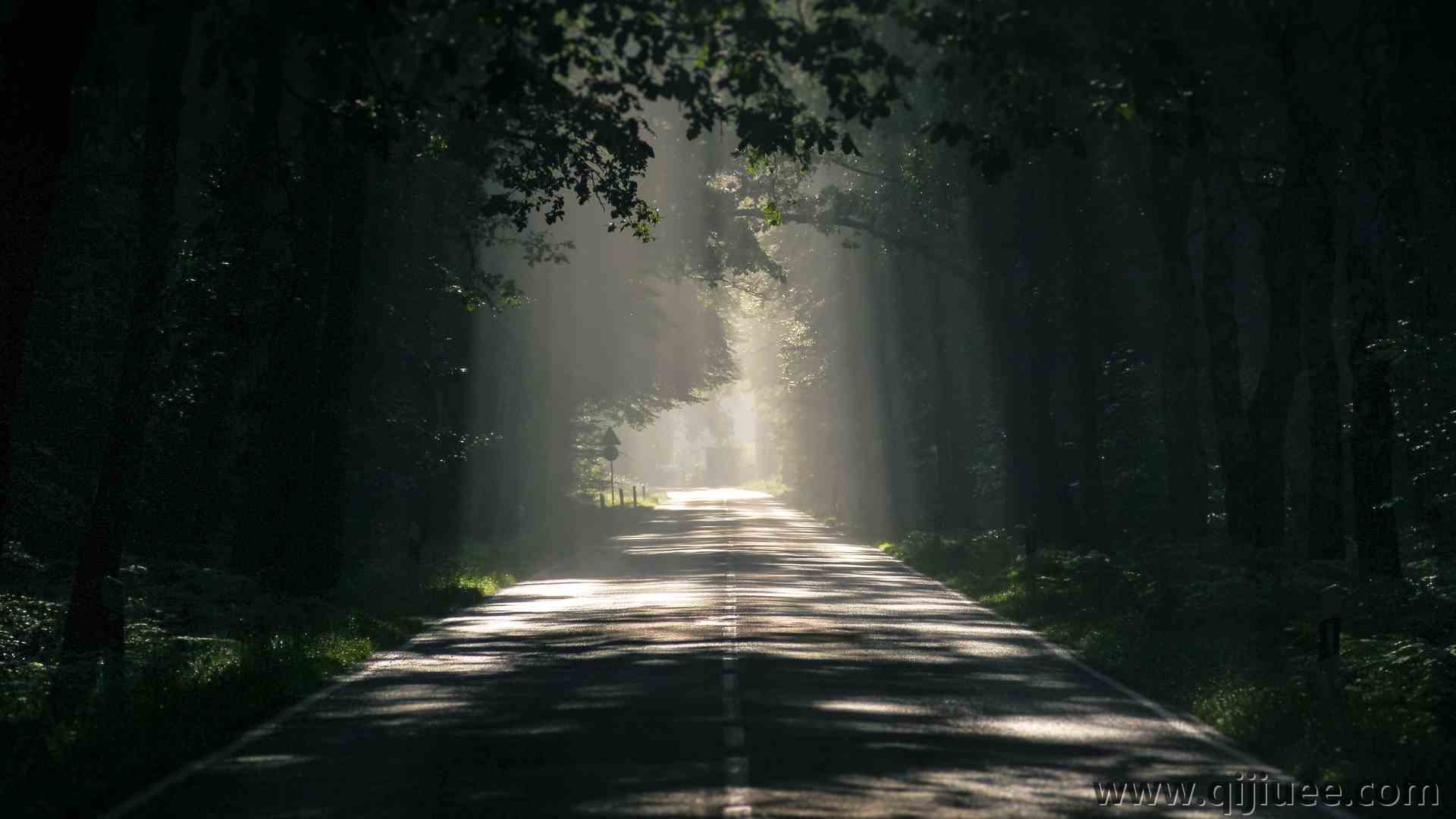 自然 沥青 黑暗 森林 环境 路径 阳光 阴影  4K壁纸4970 x 3313/2.77 MB-柒染云阁