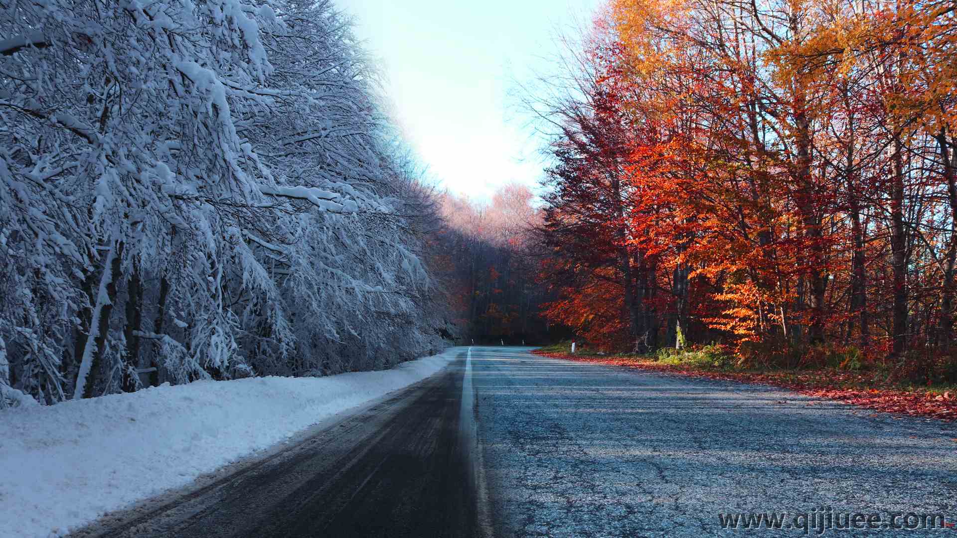 自然 冬天 道路 风景 树木 秋天  4K壁纸6000 x 4000/18.77 MB-柒染云阁