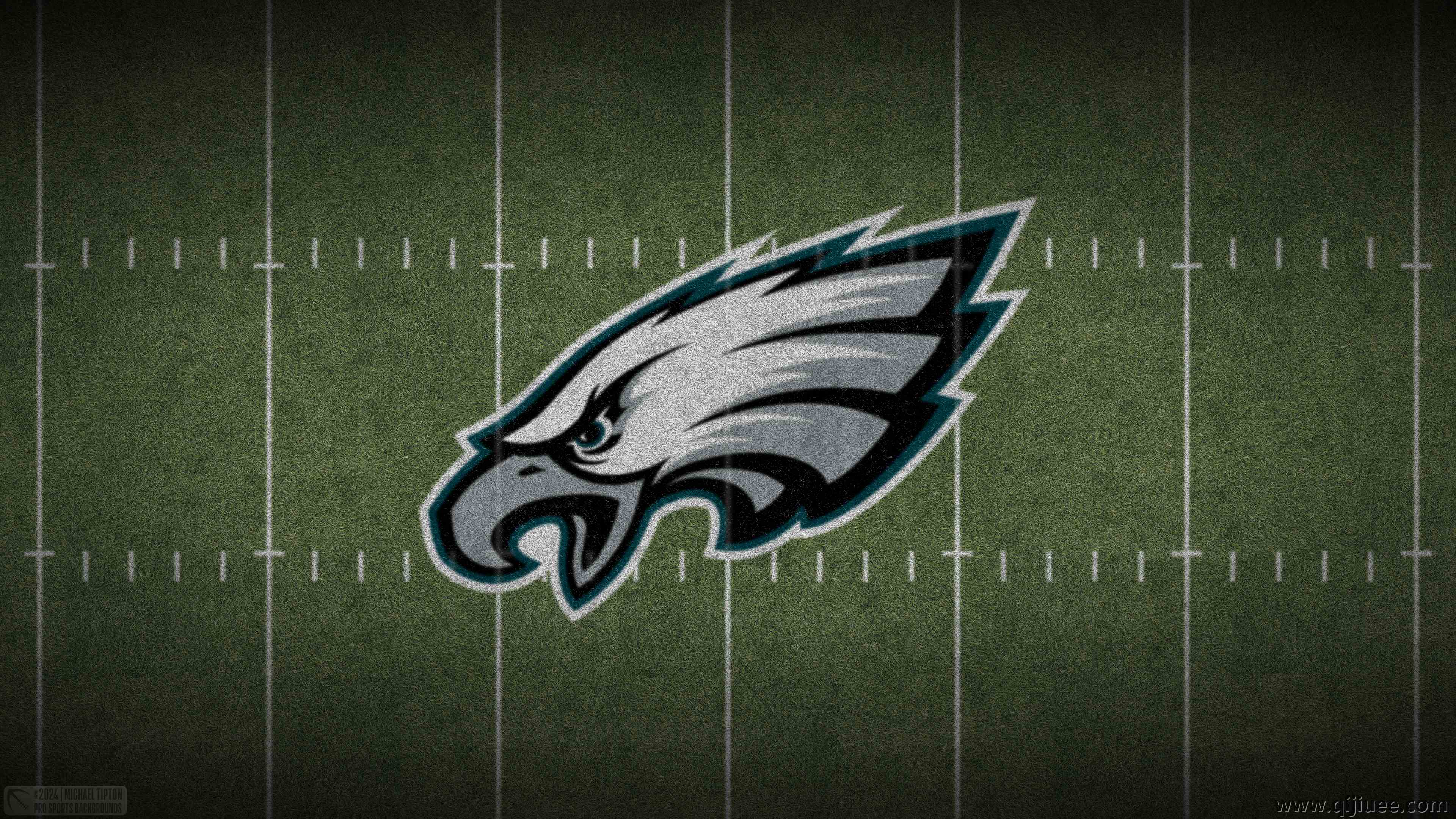 老鹰队 NFL 足球 草地 体育 足球场 4K壁纸3840 x 2160/18.45 MB-柒染云阁