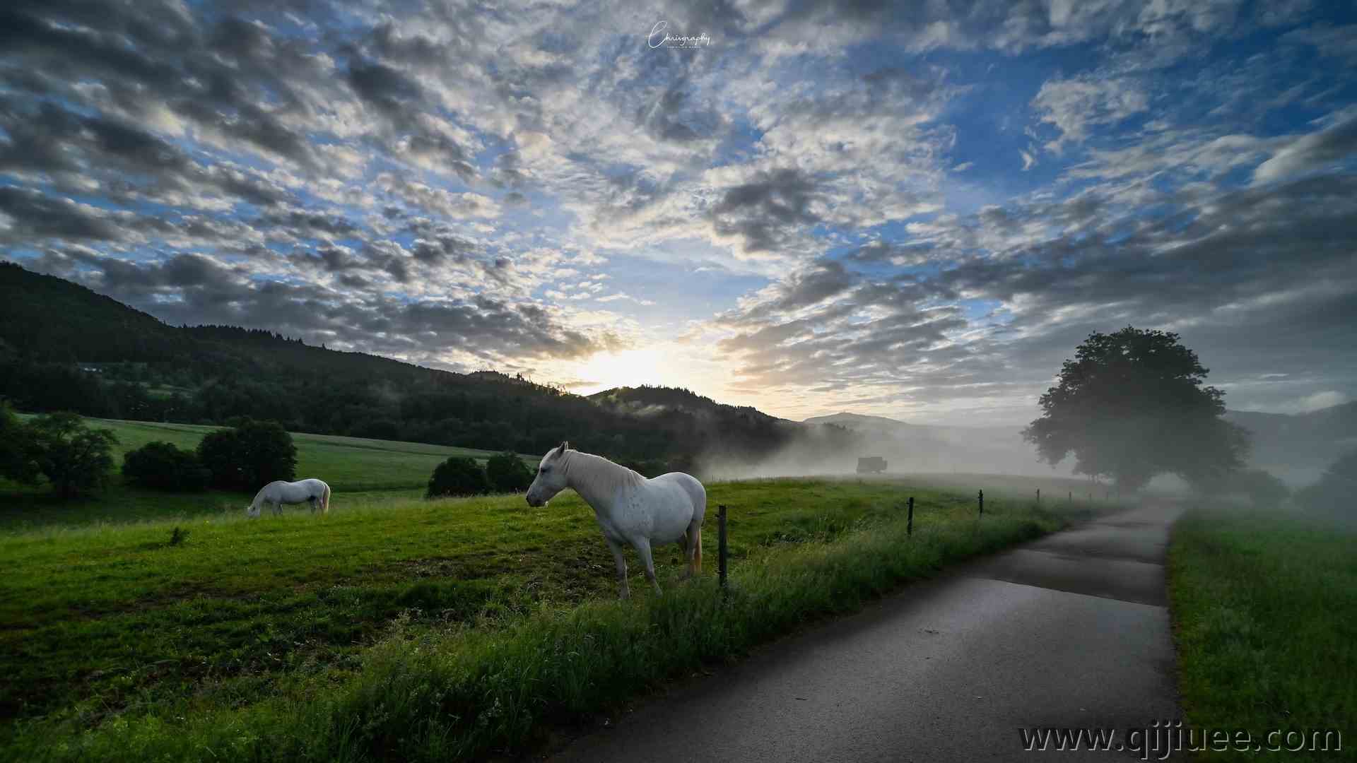 天空 户外 道路 动物 云 阳光 马 电脑壁纸 4K壁纸3840 x 2160/2.09 MB-柒染云阁