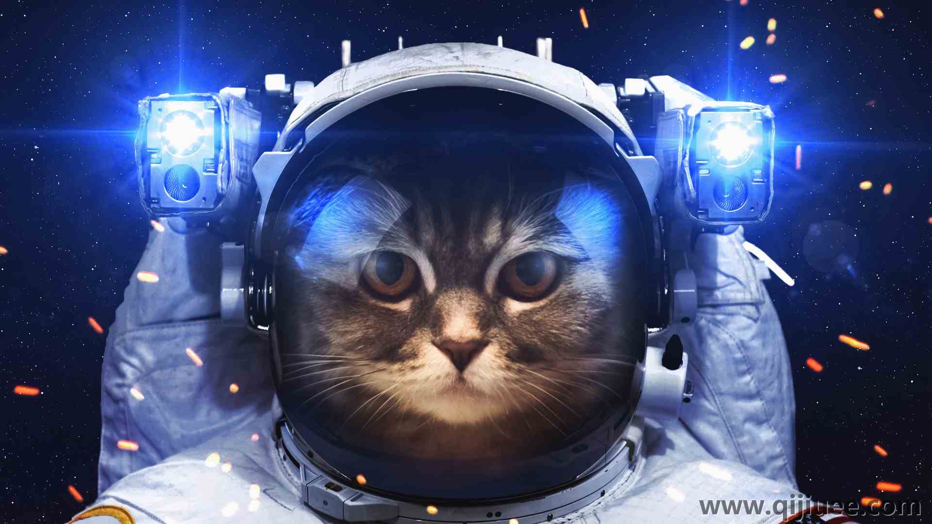 宇航员 猫 太空 艺术 创意 宇宙 星空 科幻 电脑壁纸 4K壁纸6144 x 4088/2.45 MB-柒染云阁