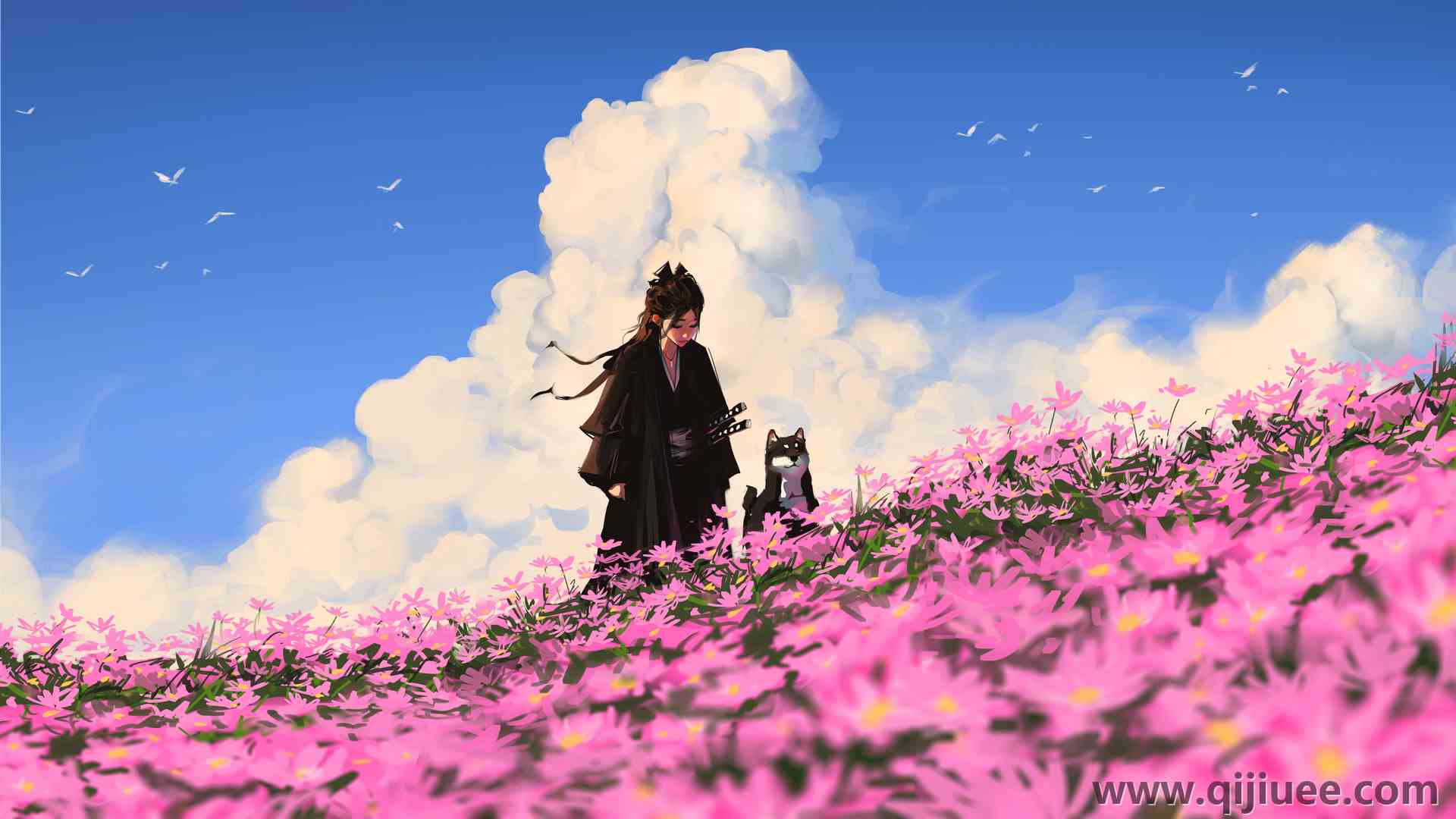 女性 长发 黑发 柴犬 领域 花 天空  电脑壁纸 4K壁纸3840 x 2160/7.25 MB-柒染云阁