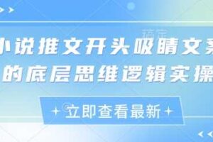 小说推文开头吸睛文案的底层思维逻辑实操-柒染云阁