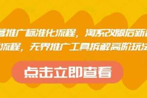 淘系运营推广标准化流程，​淘系改版后新品布局全流程，无界推广工具拆解高阶玩法-柒染云阁