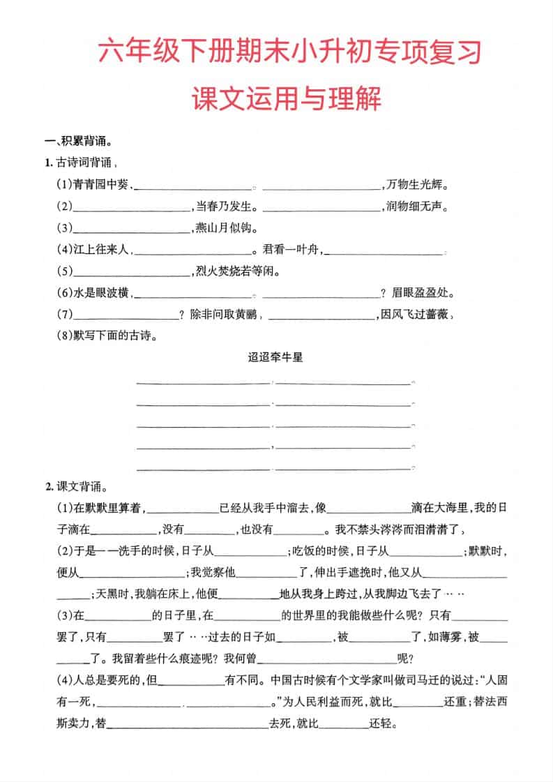 六年级下语文小升初课文运用与理解专项练习-柒染云阁
