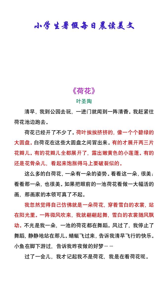 小学生暑假每日晨读美文：叶圣陶《荷花》-小升初语文-柒染云阁