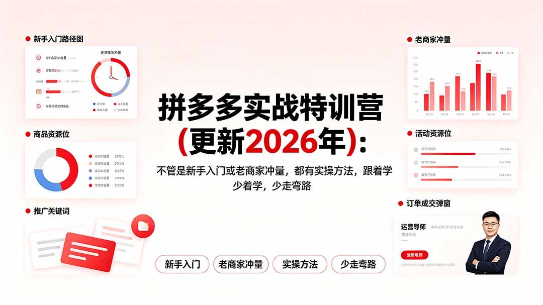 拼多多实战特训营(更新2026年-柒染云阁