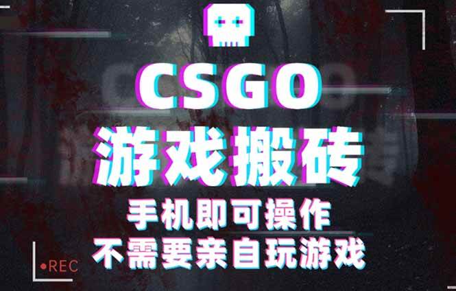 CSGO游戏挂机捡漏，单日扫货500+，年底小高峰上车可吃肉，手机即可操作…-柒染云阁