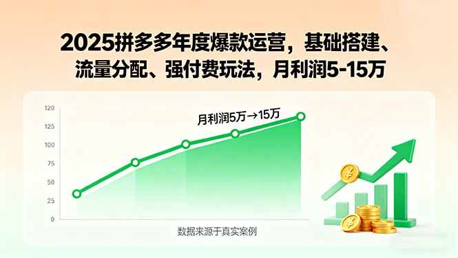 2025拼多多年度爆款运营，基础搭建、流量分配、强付费玩法，月利润5-15万-柒染云阁