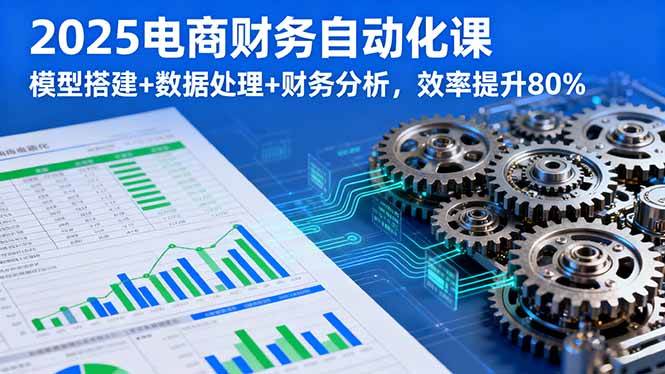 2025电商财务自动化课，模型搭建+数据处理+财务分析，效率提升80%-柒染云阁