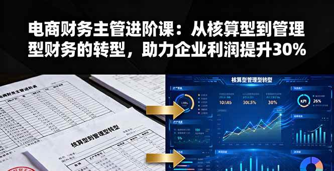 电商财务主管进阶课：从核算型到管理型财务的转型，助力企业利润提升30%-柒染云阁