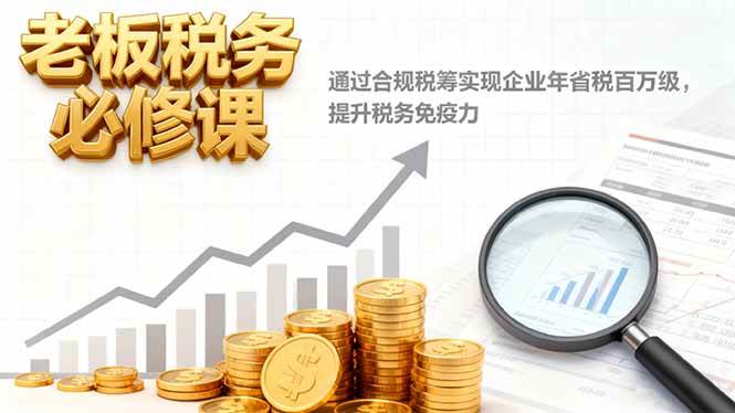 老板税务必修课，通过合规税筹实现企业年省税百万级，提升税务免疫力-柒染云阁