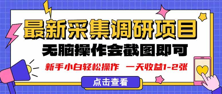 新版采集调研项目，截图上传即可，无脑操作，日收益1-2张-柒染云阁