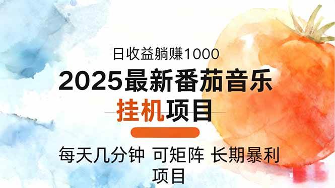 2025年最新番茄音乐人挂机项目，每天几分钟，月入1000＋，可矩阵，一台…-柒染云阁