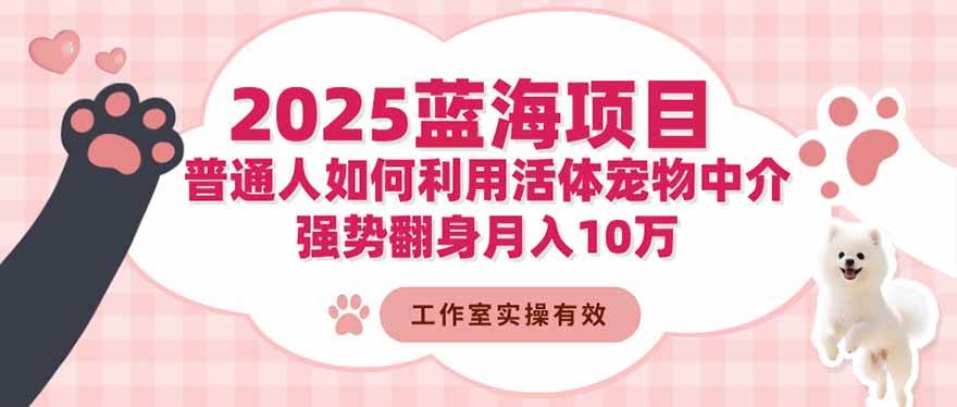 2025蓝海项目：普通人如何利用活体宠物中介，强势翻身月入10万-柒染云阁