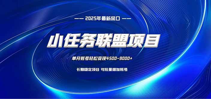 小任务联盟项目：一台电脑每天只需10分钟，轻松简单稳定-柒染云阁