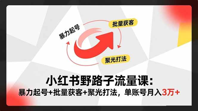 小红书野路子流量课：暴力起号+批量获客+聚光打法，单账号月入3万+-柒染云阁