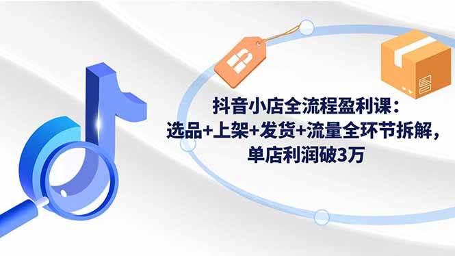 抖音小店全流程盈利课：选品+上架+发货+流量全环节拆解，单店利润破3万-柒染云阁