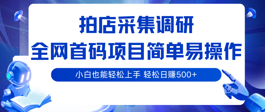 拍店采集调研，全网首码项目，简单易操作， 小白也能轻松上手，轻松日赚500+-柒染云阁
